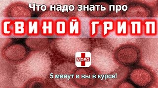 СВИНОЙ ГРИПП❗ Симптомы и Как Не Заболеть