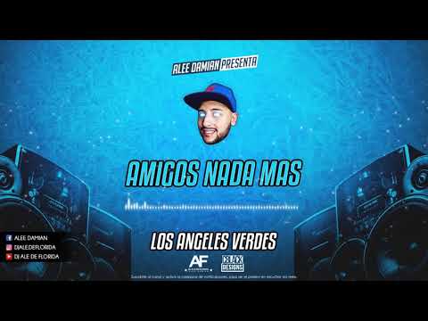 DJ ALE DE FLORIDA ✘ Amigos Nada Mas (Mix)