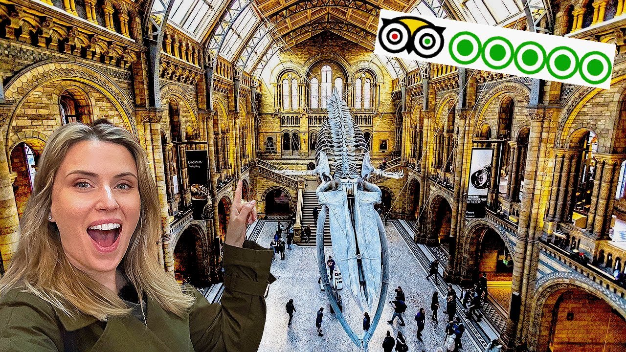 Join a traveler on an exciting tour of the Natural History Museum.