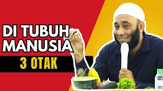 Download lagu dr zaidul akbar | 3 OTAK DI TUBUH MANUSIA | ZAIDUL AKBAR mp3