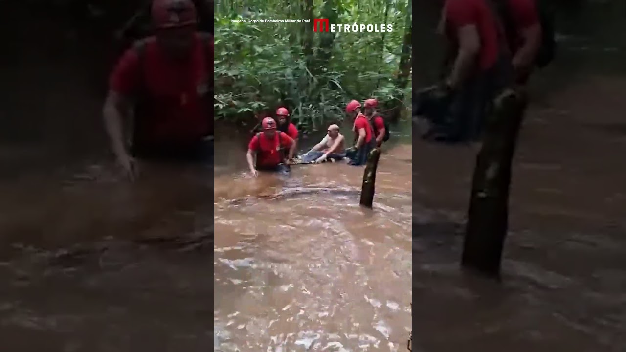 Piloto é encontrado com vida após avião cair no Pará