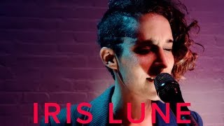 Iris Lune | Paper Maché | Blue Room