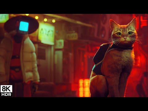 Stray • Spacer po Śródmieście | 8K 60FPS HDR 🇵🇱