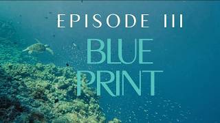 CHOOSE EARTH III - BLUE PRINT