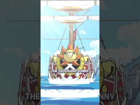 This is how the Thousand Sunny got its name ☀️