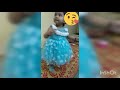 Aaradhya Avdhut Arv Cute Little Baby First Step Cute Baby Gorgeous ️ Beautiful Baby