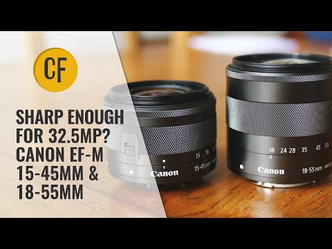 Video thumbnail for Video Review 3