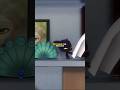 Why Didn T Plagg Recognize The Peacock Miraculous Miraculousladybug Miraculous Mlb