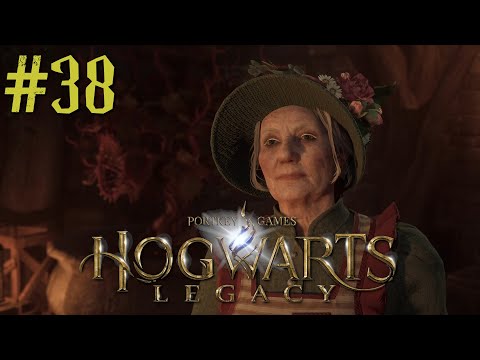 HOGWARTS LEGACY #38 - DAS GOLDENE EINHORN - [PS5] - Let's Play Hogwarts Legacy