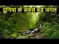 दुनिया के सबसे बड़े जंगल Top 10 Largest And DANGEROUS Forest