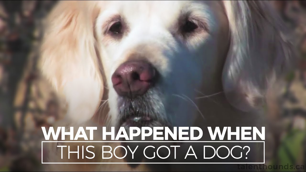 What Happened When this Autistic Boy Got a Dog?