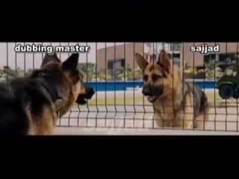 YouTube video about: How to say dog in punjabi?