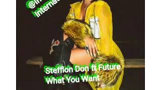 Stefflon Don ft Future- What You Want (Official Audio)