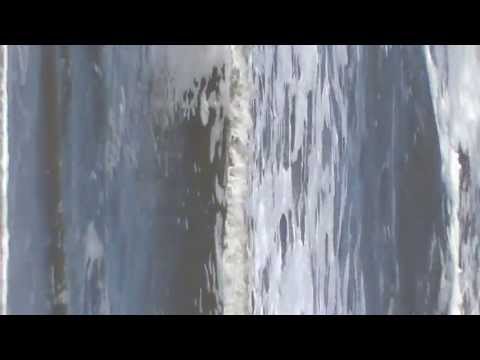 Pseudis Paradoxa /HAGEN von BERGENs HARGEST DARKEN (www.bi-za-records.de)