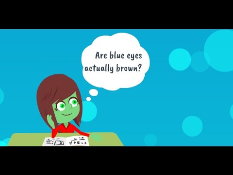 Are blue eyes actually brown? What determines eye...