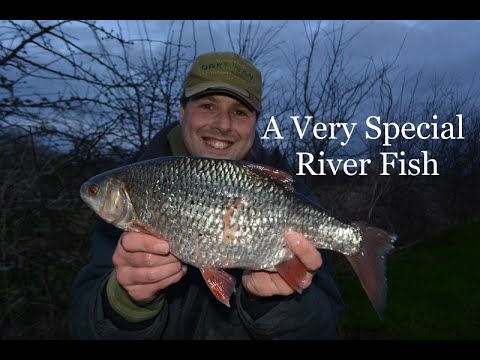 2lb 13oz River Roach