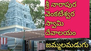 Temple video