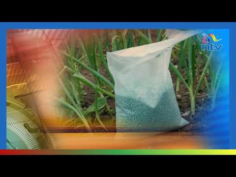 Wakulima wa mahindi waitaka serikali kuharakisha usafirishaji wa mbolea ya ruzuku kutoka Mombasa