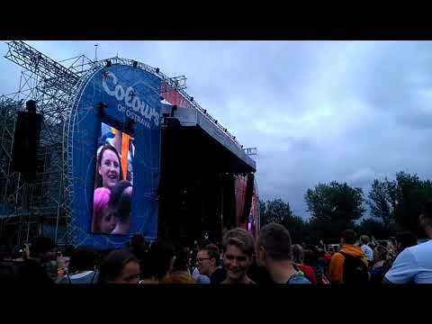 Colours of Ostrava 2018 Jaroslav Uhlíř-Krávy, krávy