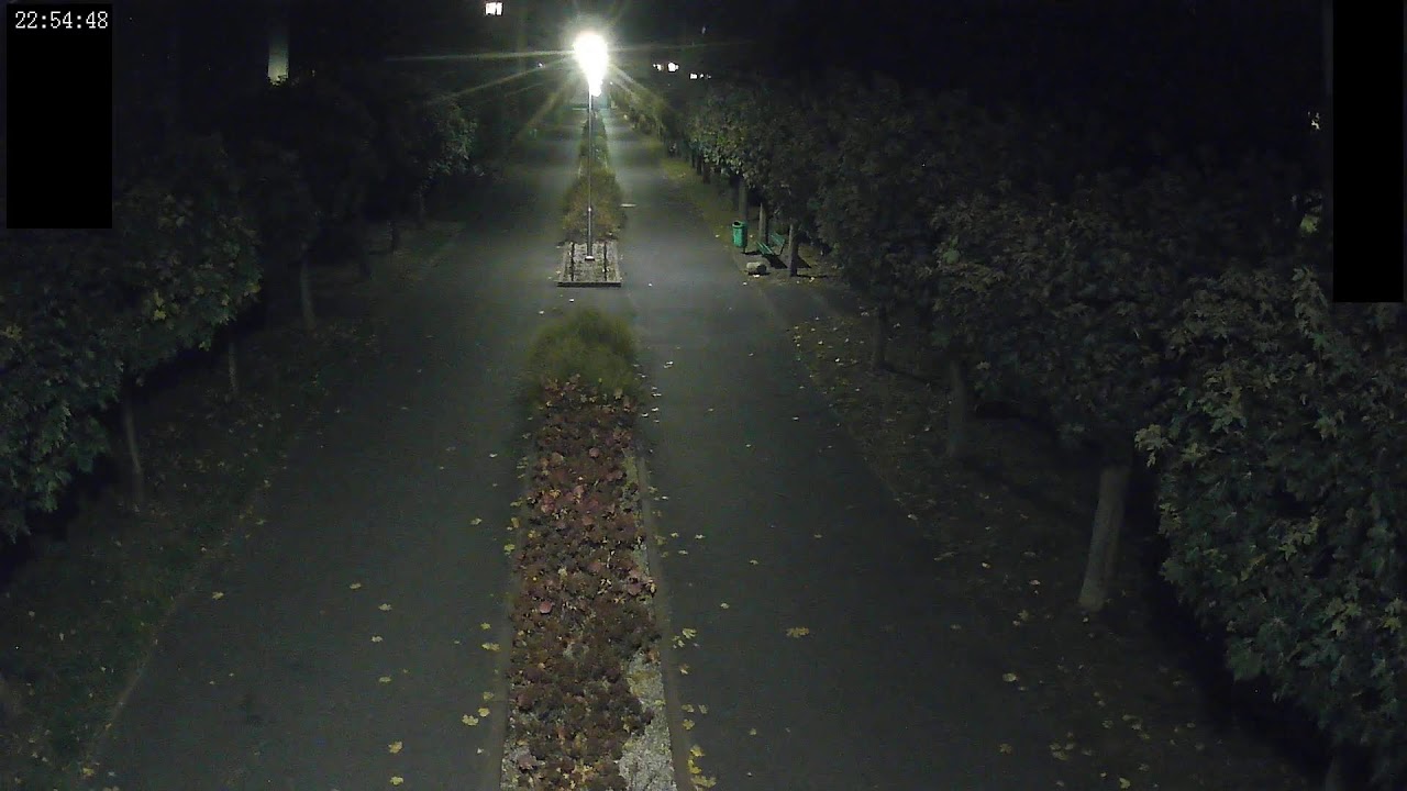 Live webcam view of Batory Estate Tree-Lined Alley