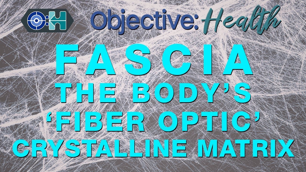 Fascia - The Body's "Fiber Optic" Crystalline Matrix - YouTube