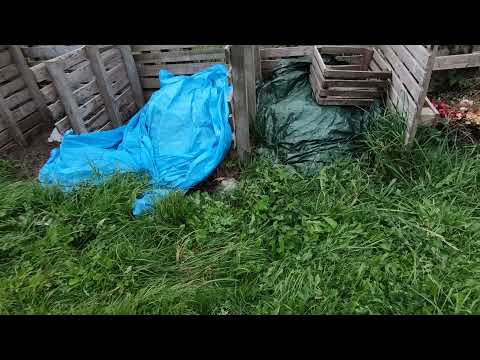 Przegląd kompostowników. Jakie komposty warto mieć w ogrodzie?