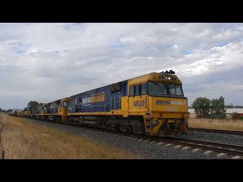 Junee Trains NR20, 9316, NR13 & NR52 with 2MW2