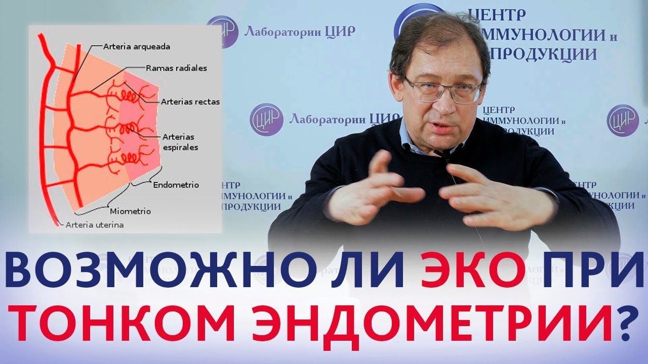 Превью видео на тему Эндометрий при ЭКО