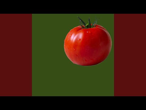 100 Percent Take Home - Whatever, Dad
