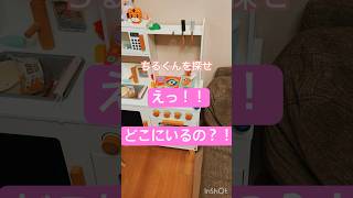 レベル5 #iq #クイズ #ハムスター #キンクマ #follow #kawaii #pets #癒し #かわいい #animals #動物