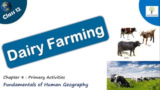 Dairy Farming - Primary activities | Class 12 Geography