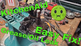 KitchenAid Grease/Oil Leak (Easy Fix)