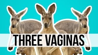 Weird Facts You Want To Tell Your Friends