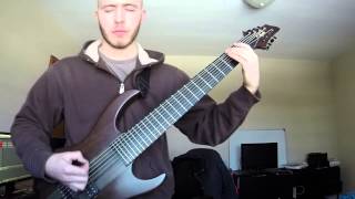 Meshuggah - Glints Collide | Guitar Cover by Tyler Nassiri