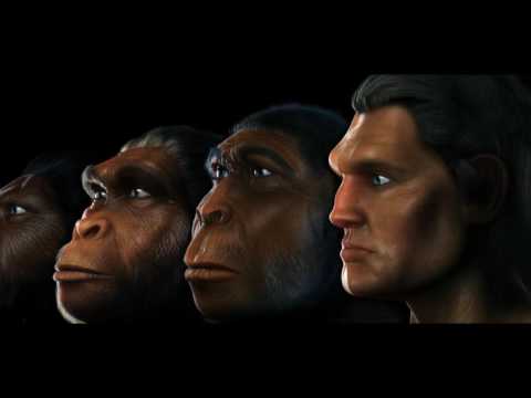 Why Evolution is Science & Creationism is Religion