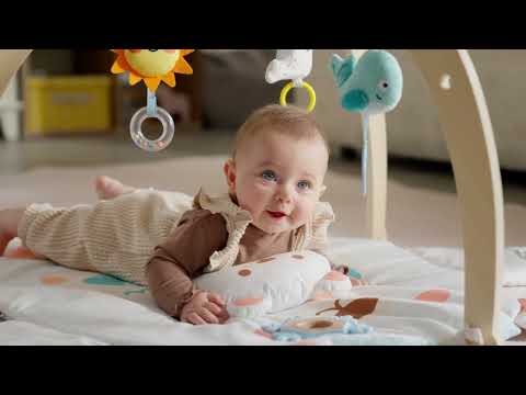 E0074 - Snuggle Bear Activity Gym