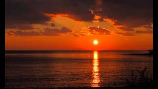 Gaia e la Balena - Omar Pedrini