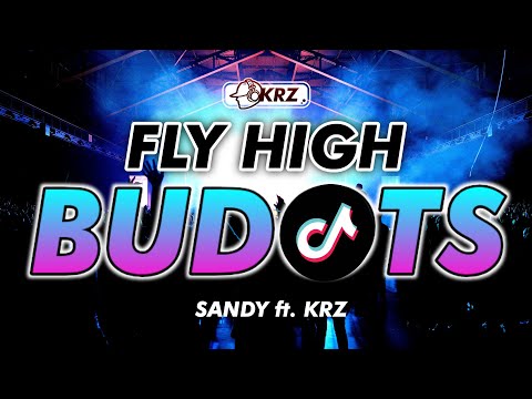 PARO PARO G (TIKTOK VIRAL BUDOTS REMIX) FLY HIGH BUTTERFLY | Dj Krz Remix 2022