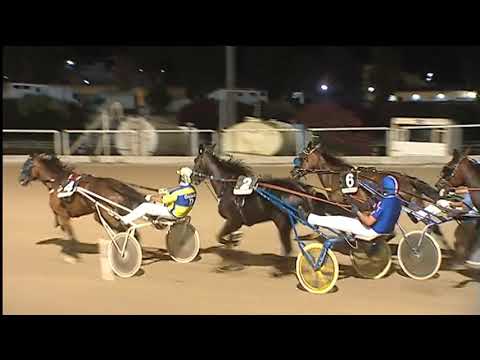 Trotto 17/07/2020 - 5ª corsa