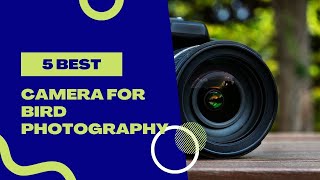 TOP 3 Best Camera for Photography 2022