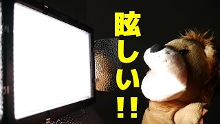 YONGNUO（ヨンヌオ）のLEDライト購入！YN600L 5500K