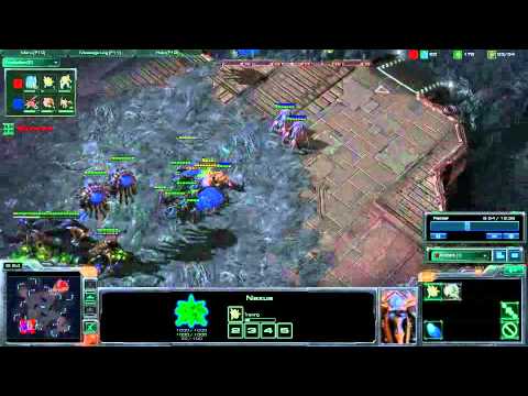 Oober SC2 Coach #7: Avatare [PvZ Silver]