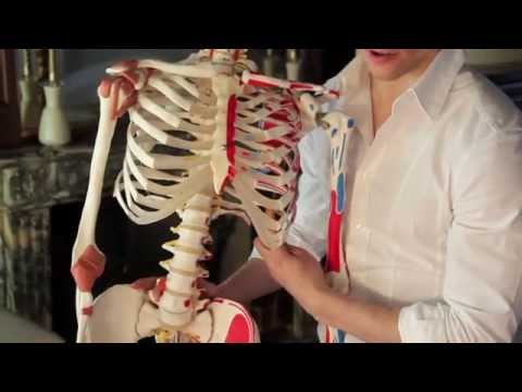 Libri ernia intervertebrali Joint Sports brace spalla