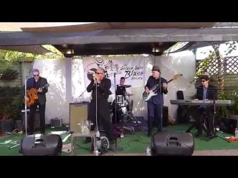 Two Tone Steiny and the Cadillacs - 