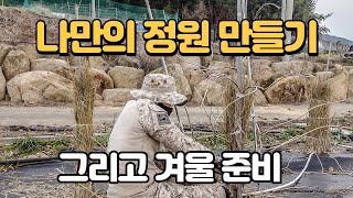 【서산농부 정원월동】 식물집사의 작은정원 한해농사 마무리! 