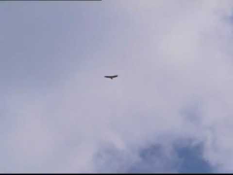 One Tree Hill - 122 - Quote Lucas - [Lk49]