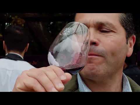 SAN JAVIER CIUDAD CREATIVA DE LA UNESCO