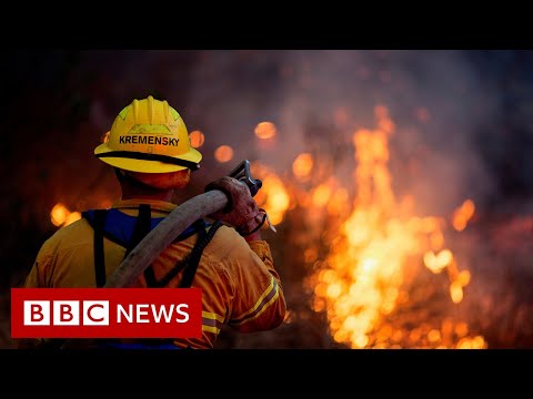 気候変動のこと。2020年に米国経済にどれだけのコストがかかったか？- BBCニュース (Climate Change: How much did it cost US economy in 2020? - BBC News)