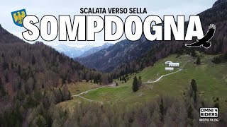 Video 8