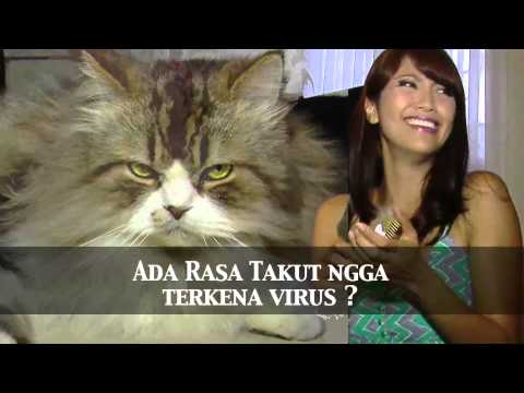 SELEBRITIPS - Shareena (Tips Merawat Hewan Peliharaan)